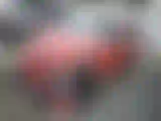 Vehicle Image- 2011 Toyota Prius
