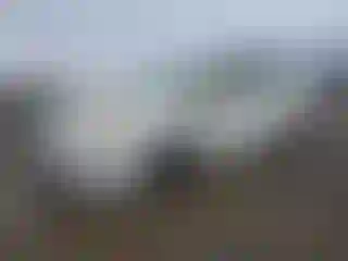 Vehicle Image- 2013 Toyota Prius