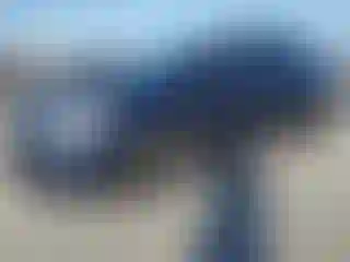 Vehicle Image- 2015 Toyota Prius