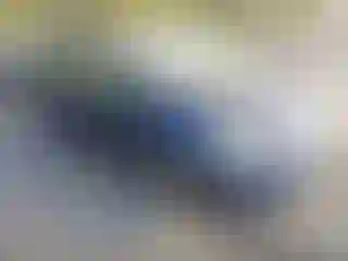 Vehicle Image- 2010 Toyota Prius