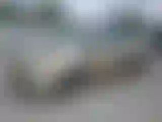 Vehicle Image- 2010 Toyota Prius