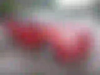 Vehicle Image- 2010 Toyota Prius