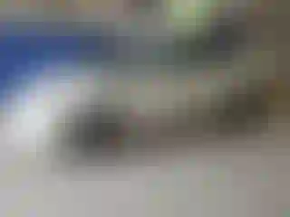Vehicle Image- 2011 Toyota Prius