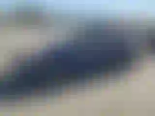 Vehicle Image- 2011 Toyota Prius