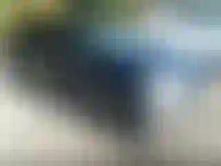 Vehicle Image- 2013 Toyota Prius