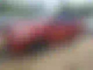 Vehicle Image- 2013 Toyota Prius