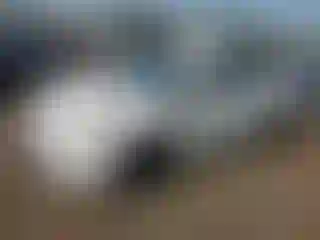 Vehicle Image- 2015 Toyota Prius