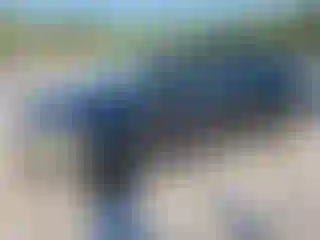 Vehicle Image- 2015 Toyota Prius