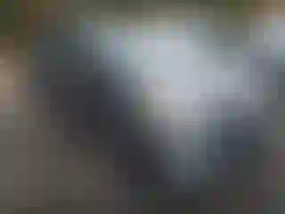 Vehicle Image- 2010 Toyota Prius