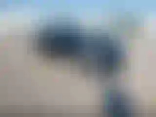 Vehicle Image- 2010 Toyota Prius