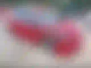 Vehicle Image- 2010 Toyota Prius