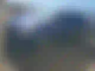 Vehicle Image- 2010 Toyota Prius