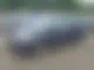 Vehicle Image- 2010 Toyota Prius