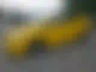 Vehicle Image- 2010 Toyota Prius