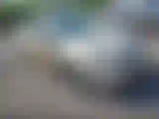 Vehicle Image- 2010 Toyota Prius