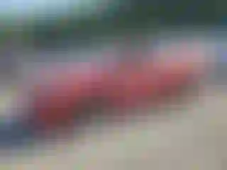 Vehicle Image- 2010 Toyota Prius