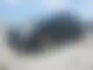 Vehicle Image- 2010 Toyota Prius