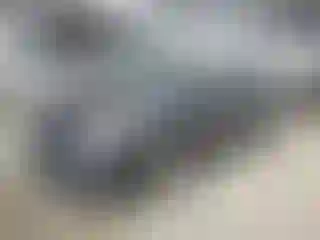 Vehicle Image- 2010 Toyota Prius