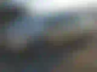 Vehicle Image- 2011 Toyota Prius