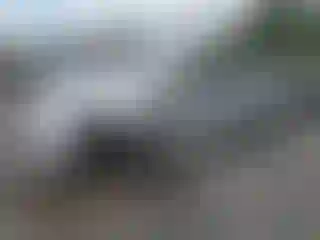 Vehicle Image- 2011 Toyota Prius