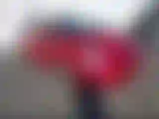 Vehicle Image- 2011 Toyota Prius