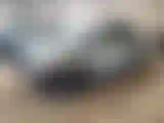 Vehicle Image- 2013 Toyota Prius
