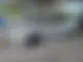 Vehicle Image- 2014 Toyota Prius