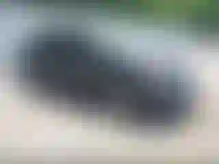 Vehicle Image- 2015 Toyota Prius