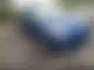 Vehicle Image- 2010 Toyota Prius