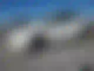 Vehicle Image- 2010 Toyota Prius