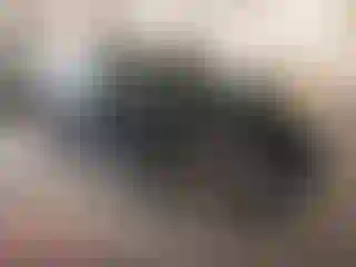 Vehicle Image- 2010 Toyota Prius