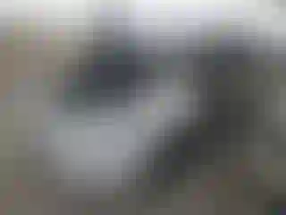 Vehicle Image- 2010 Toyota Prius