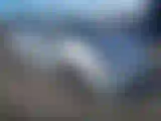 Vehicle Image- 2010 Toyota Prius