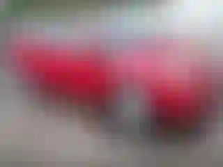 Vehicle Image- 2010 Toyota Prius