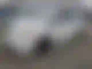 Vehicle Image- 2013 Toyota Prius