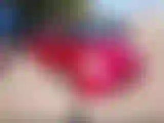 Vehicle Image- 2013 Toyota Prius