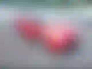 Vehicle Image- 2014 Toyota Prius