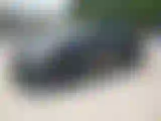 Vehicle Image- 2015 Toyota Prius