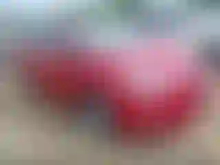 Vehicle Image- 2010 Toyota Prius