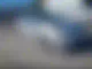 Vehicle Image- 2010 Toyota Prius