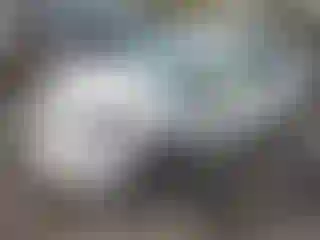 Vehicle Image- 2010 Toyota Prius