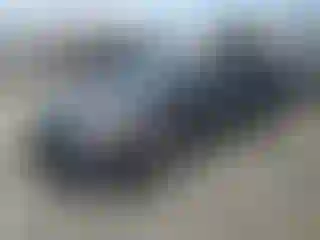 Vehicle Image- 2010 Toyota Prius