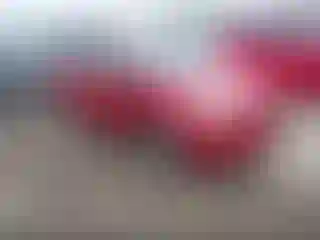 Vehicle Image- 2010 Toyota Prius