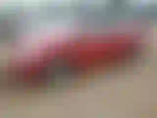 Vehicle Image- 2010 Toyota Prius