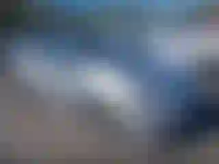 Vehicle Image- 2010 Toyota Prius