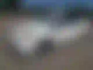 Vehicle Image- 2011 Toyota Prius