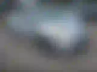 Vehicle Image- 2013 Toyota Prius