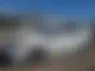 Vehicle Image- 2015 Toyota Prius