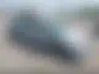 Vehicle Image- 2010 Toyota Prius