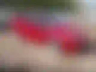 Vehicle Image- 2010 Toyota Prius